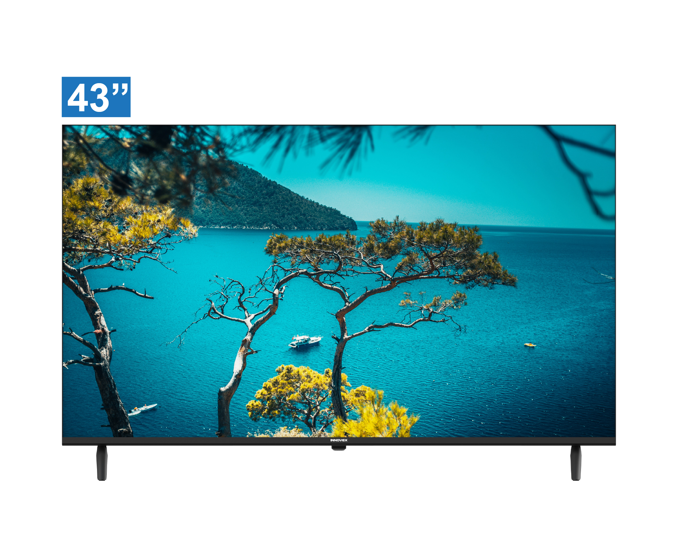 43 LED FHD TV
